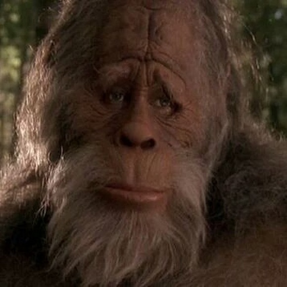 Meet your Posher, Sean - Picture 1 of 1